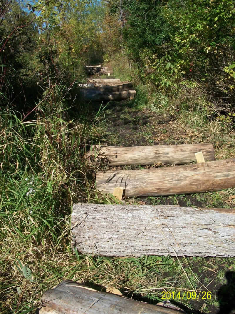 https://www.dundeemill.org/pictures/2014/25 log obstacle.jpg